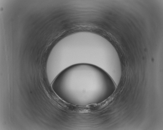 X0000083660456200702120844