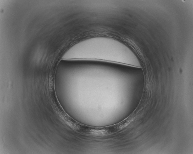 X0000083660457200702120844