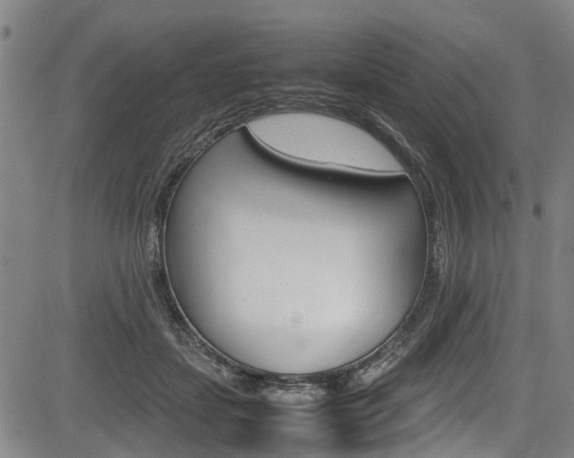 X0000083660459200702120844