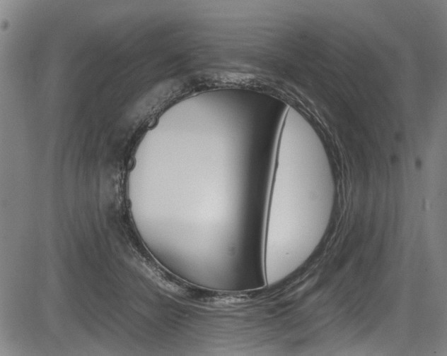 X0000083660462200702120844