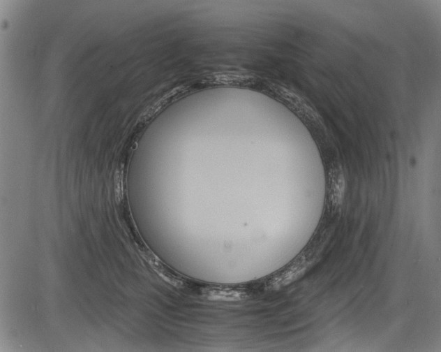 X0000083660471200702120844