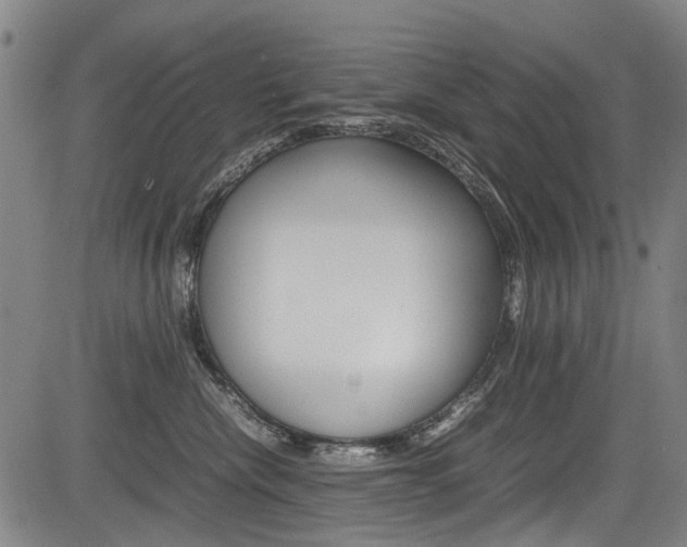X0000083660476200702120844