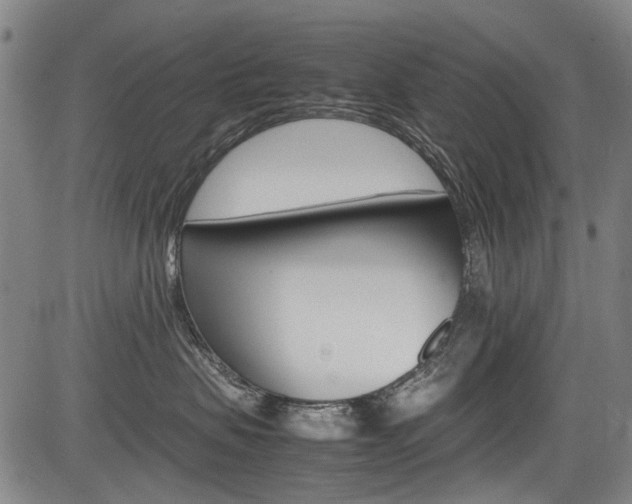 X0000083660479200702120844