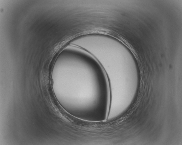 X0000083660485200702120843