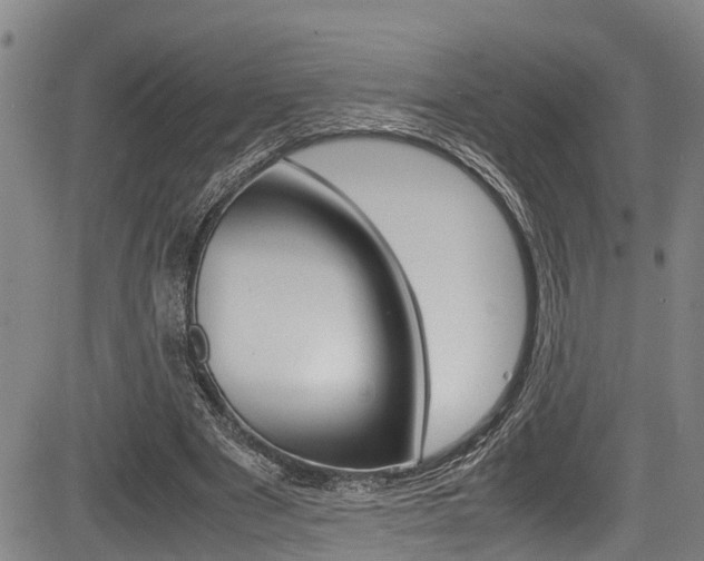 X0000083660489200702120843