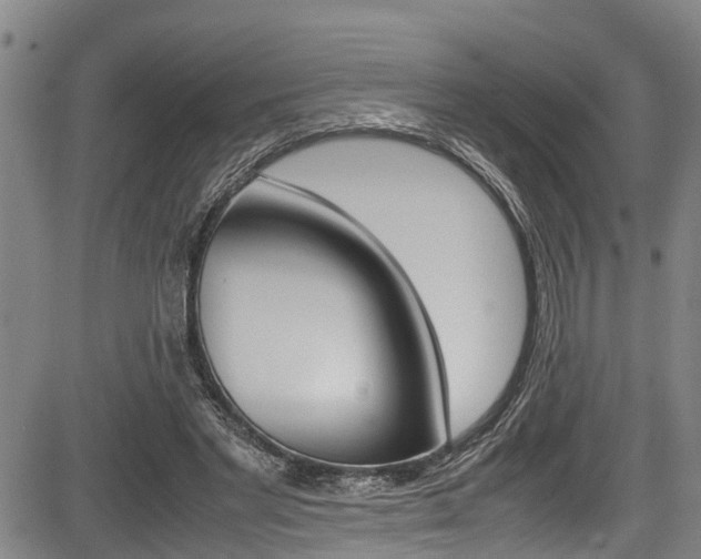 X0000083660493200702120843