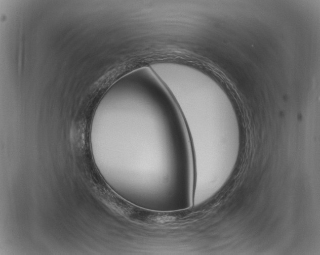 X0000083660501200702120843