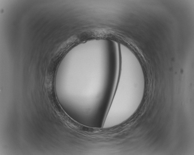 X0000083660505200702120843