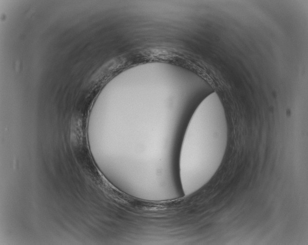 X0000083660506200702120843