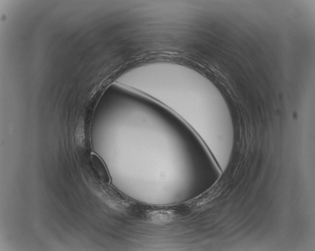 X0000083660508200702120843