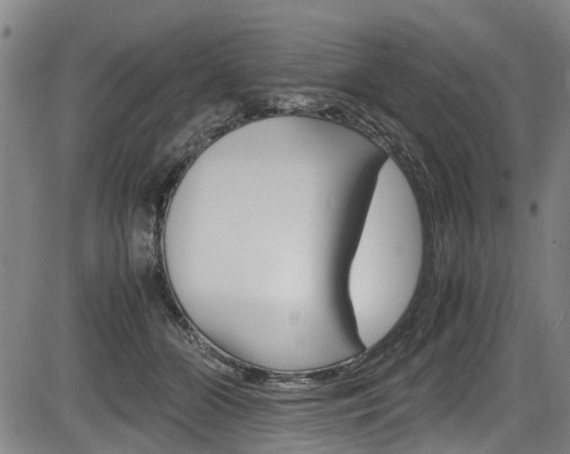 X0000083660510200702120843