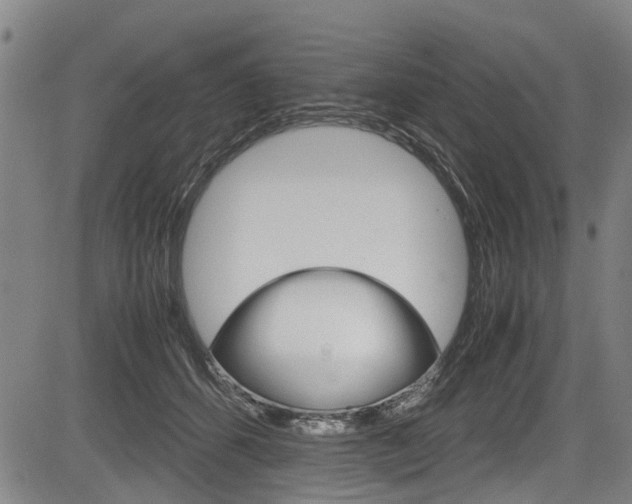 X0000083660512200702120843