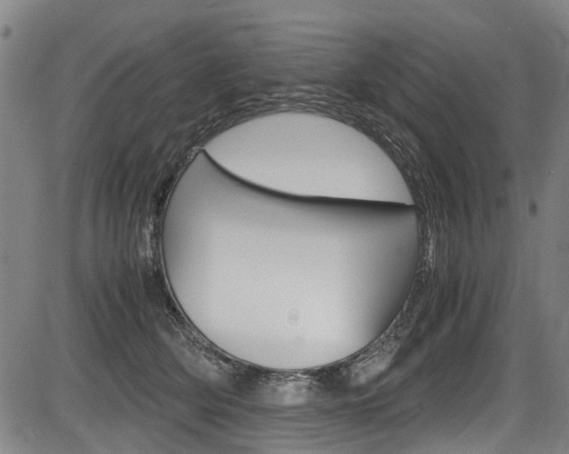 X0000083660514200702120843