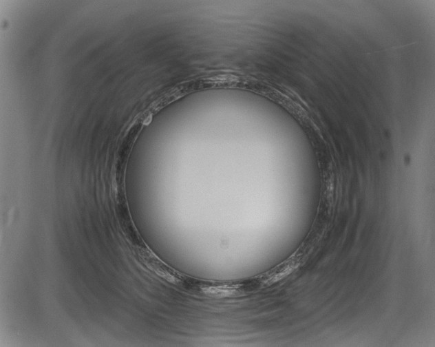 X0000083660516200702120843