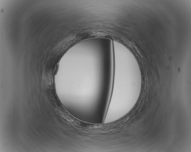 X0000083660517200702120843