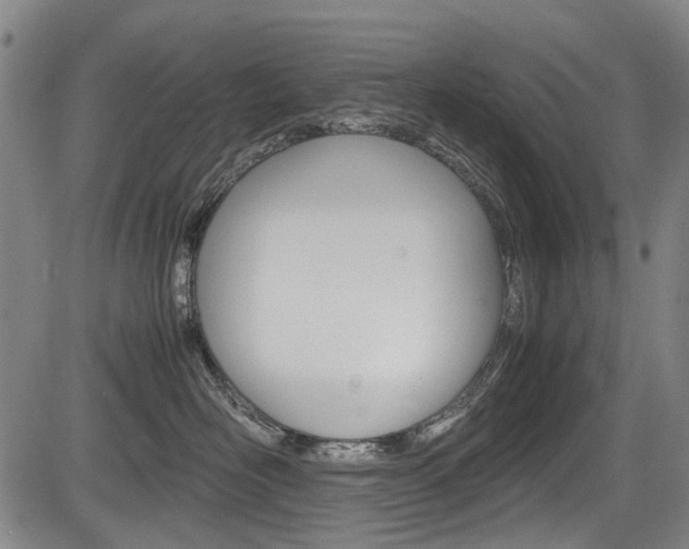 X0000083660526200702120843