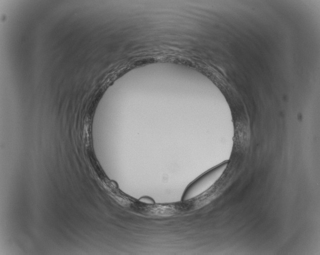 X0000083660527200702120843