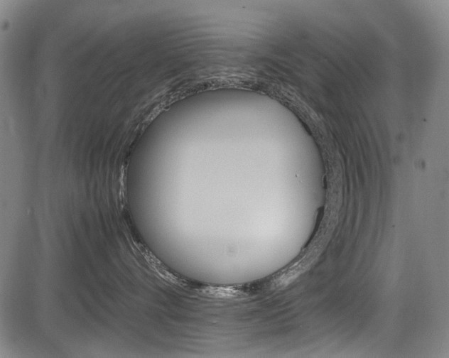 X0000083660528200702120843