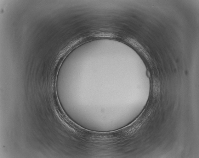 X0000083660533200702120842
