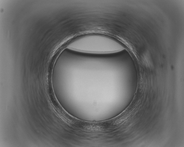 X0000083660535200702120842