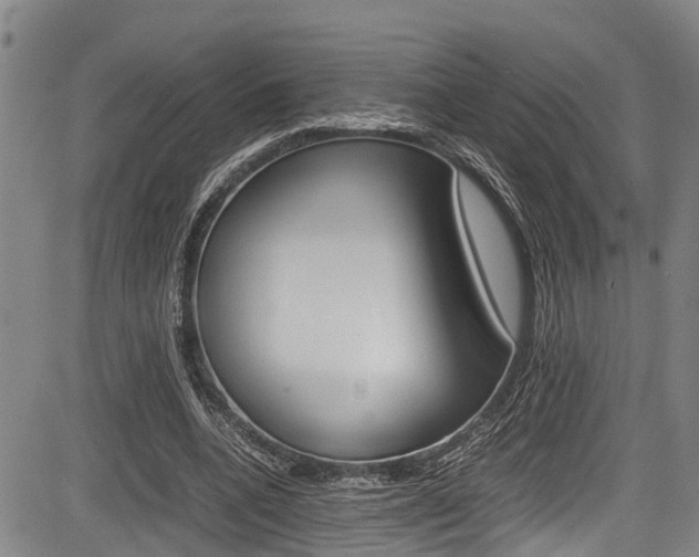 X0000083660536200702120842