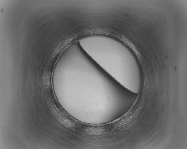 X0000083660537200702120842