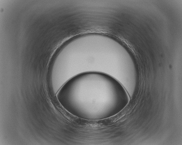 X0000083660540200702120842