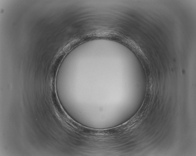 X0000083660542200702120842