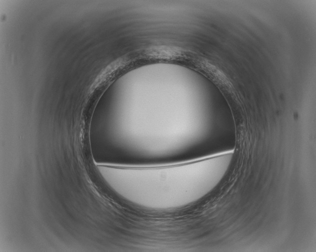 X0000083660544200702120842