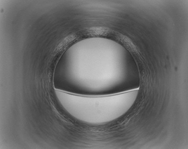 X0000083660546200702120842