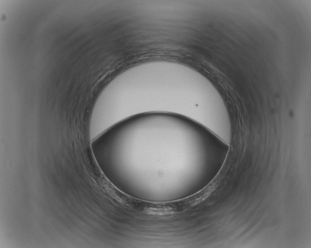 X0000083660556200702120842