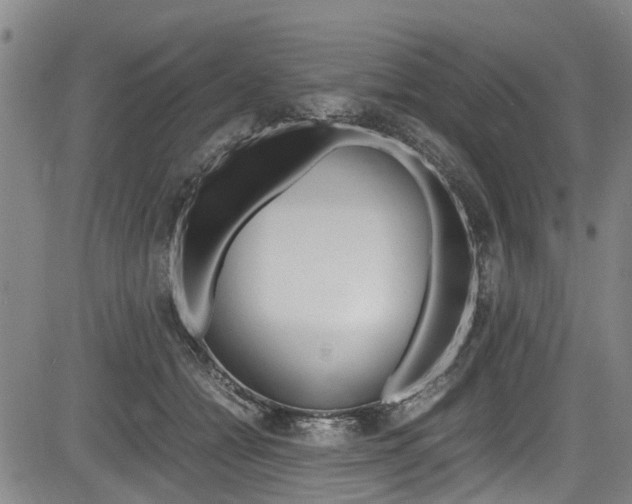 X0000083660558200702120842