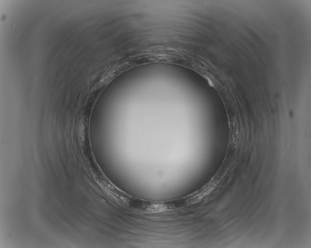 X0000083660562200702120842