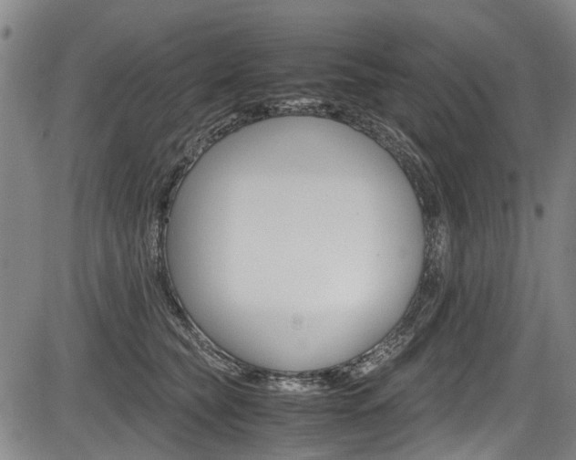 X0000083660565200702120842
