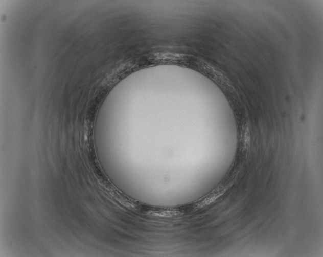 X0000083660567200702120843