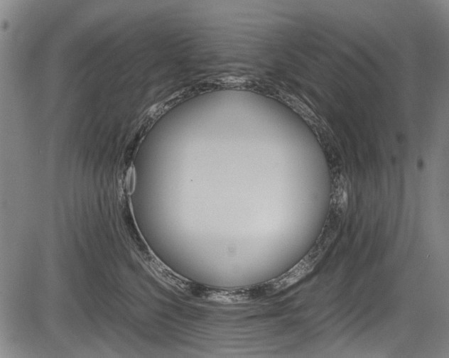 X0000083660568200702120843