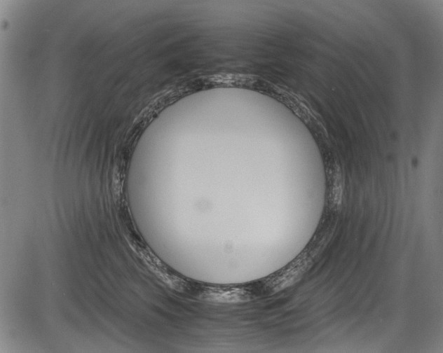 X0000083660569200702120843