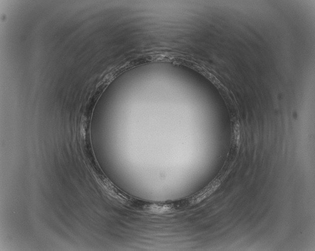 X0000083660570200702120843