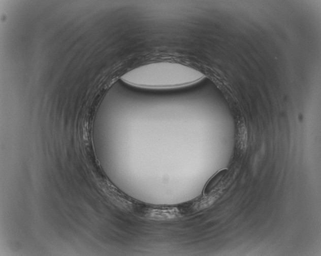 X0000083660571200702120843