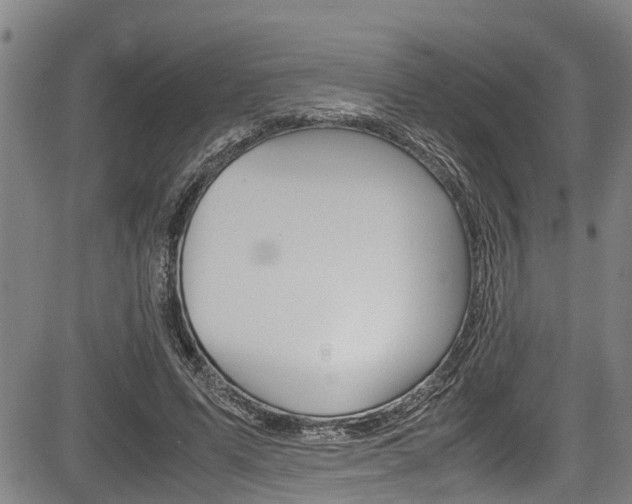 X0000083660591200702120842