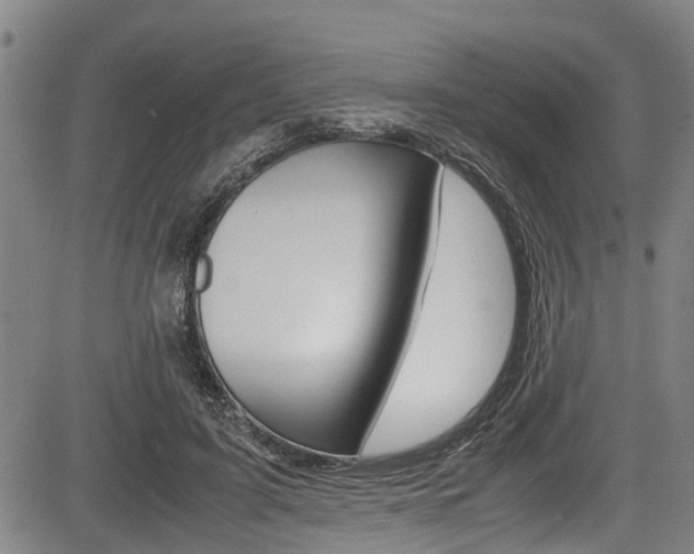 X0000083660595200702120842