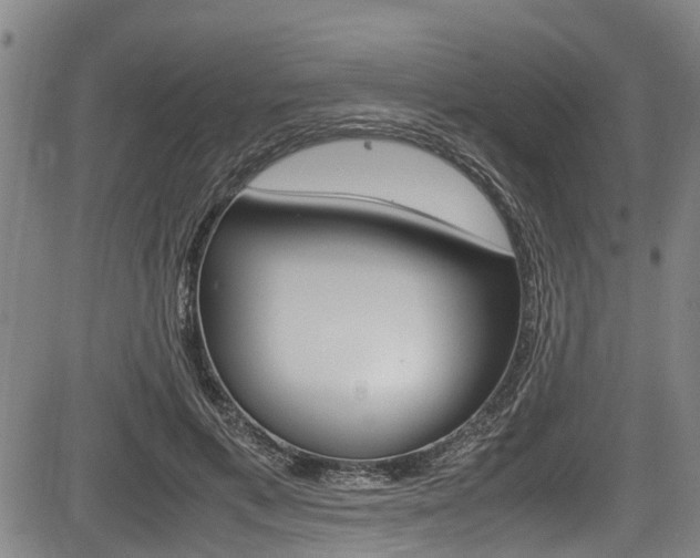 X0000083660597200702120842