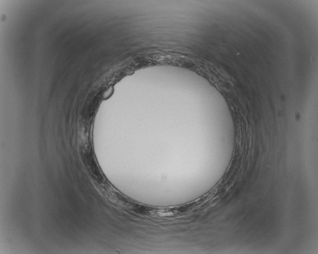 X0000083660607200702120841