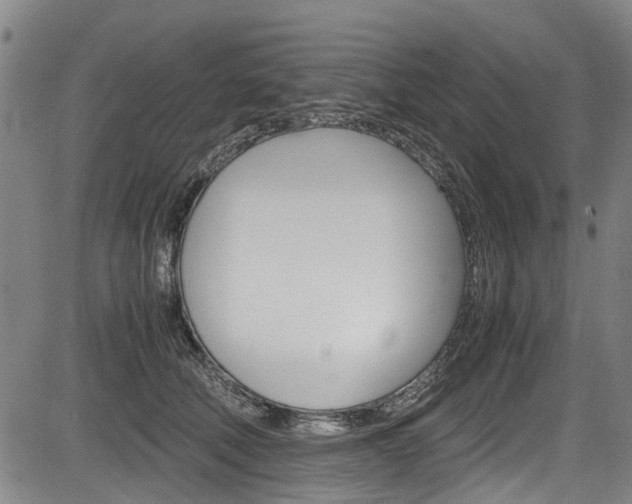 X0000083660610200702120841