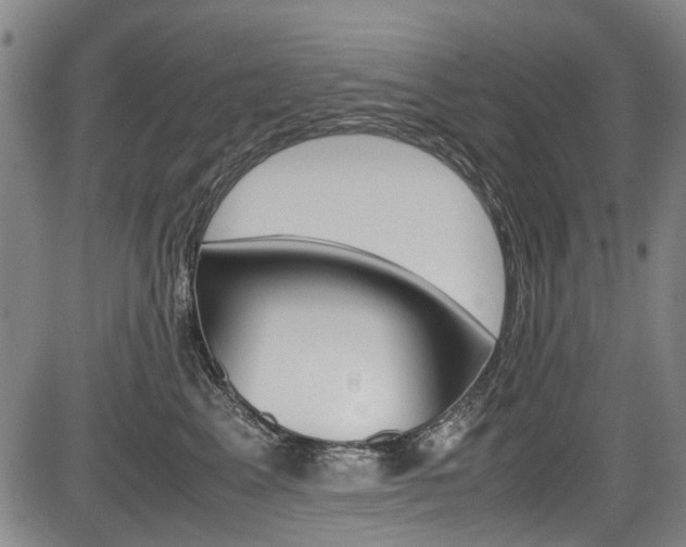 X0000083660617200702120841
