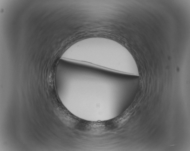 X0000083660619200702120841