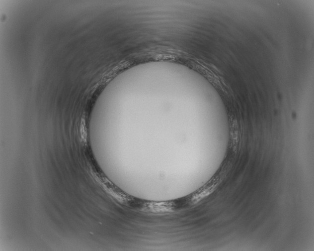 X0000083660622200702120841
