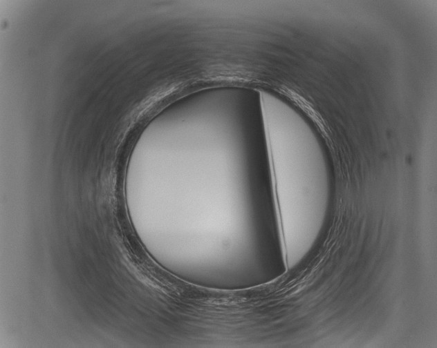 X0000083660627200702120840