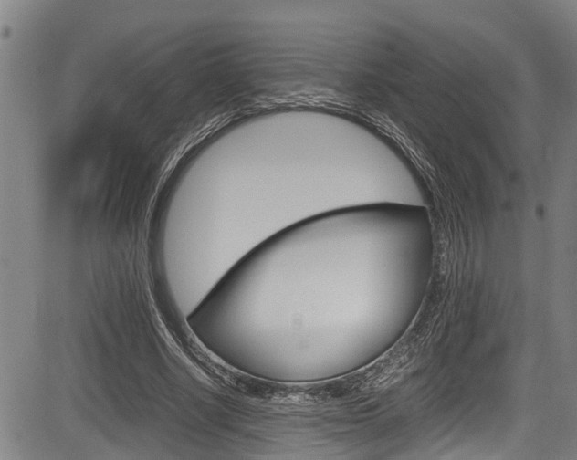 X0000083660634200702120840