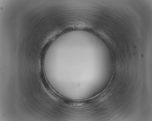 X0000083660638200702120841
